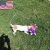 Profile Picture of Cyndi Goolsby (@@user16407757822505) on Tiktok