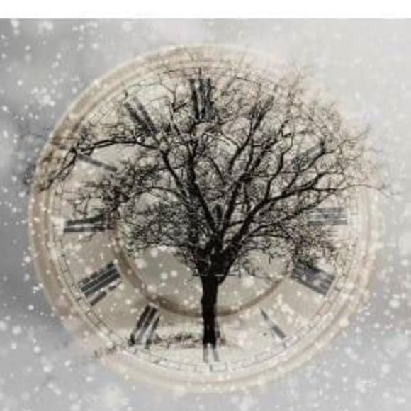 Profile Picture of Jamie Fearnley (@jamiefearnley07) on Poshmark