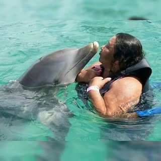 Profile Picture of Lúcia Leal (@_lucialeal) on Instagram