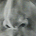 Profile Picture of Andrews.e.sarah (@andrews.e.sarah) on Flickr