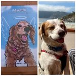 Profile Picture of Panchita y Toñita (@panto_lasperramas_bonitas) on Instagram