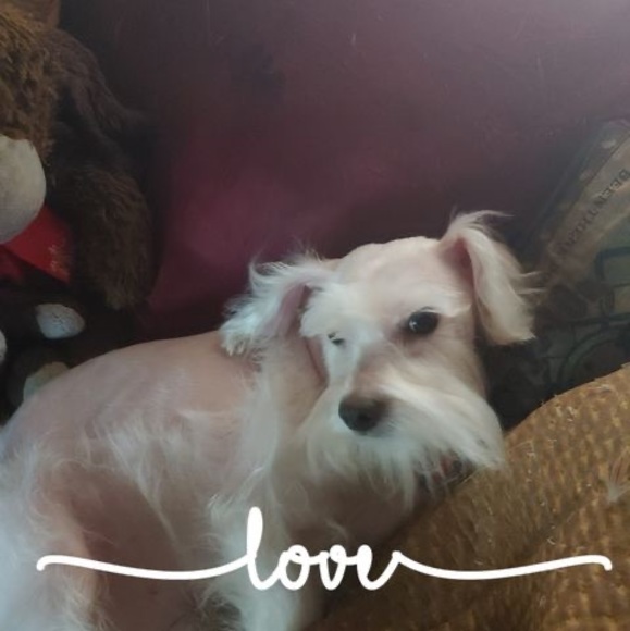 Profile Picture of Kathryn Auernheimer (@goodwitcheslive) on Poshmark