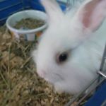 Profile Picture of Gary Law (@garyheidi2002) on Instagram