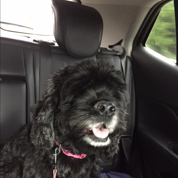 Profile Picture of Jenifer Hagovsky (@jenikix) on Poshmark