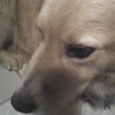 Butter Allen - Myspace Profile Picture of Butter Allen (@300173383) on Myspace