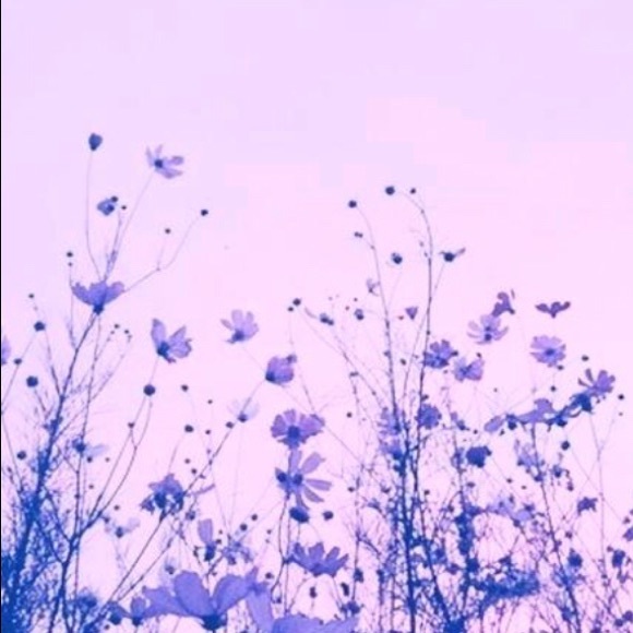 Profile Picture of Lauren Eglite (@laureneglite) on Poshmark