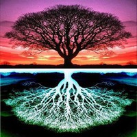 Profile Picture of Sheryl Arnold-walls (@sheryl-arnold-walls) on Quora