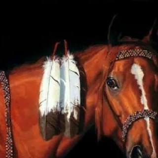 Profile Picture of Janet Troy (@Janet-Troy) on Facebook