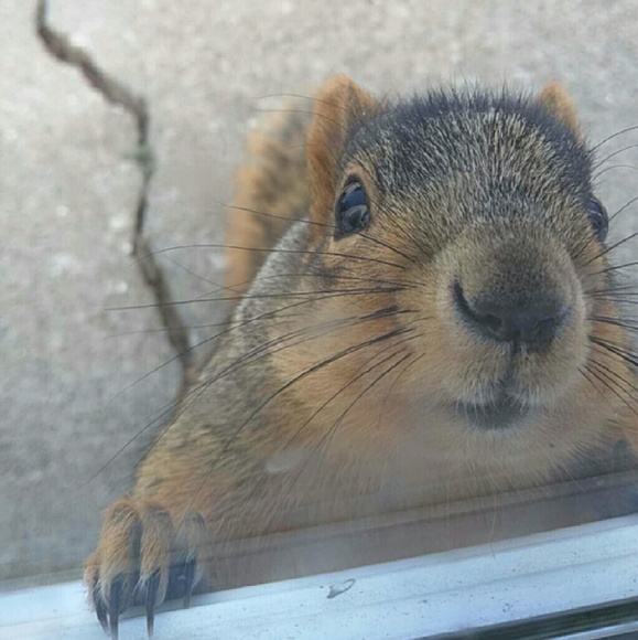 Jen Mccarthy - Poshmark Profile Picture of Jen Mccarthy (@jen463) on Poshmark