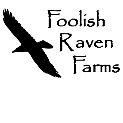 Profile Picture of Joel Swan (@FoolishRaven) on Twitter