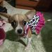 Profile Picture of Casandra Salinas (@elizabeth.salinas.18007218) on Facebook