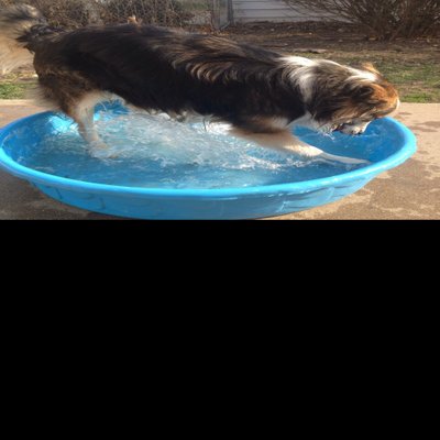 Profile Picture of Adamkornfeld (@Akornfed666) on Twitter