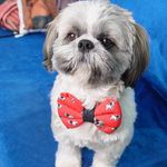 Profile Picture of Casper T Ahlawat (@mrcasper07) on Instagram