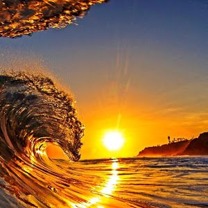 Profile Picture of jessicamischler3 (@jessicamischler3) on Tiktok