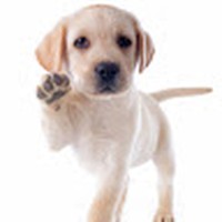 Profile Picture of Paola Miguel Tiburcio (@paola-miguel-tiburcio) on Quora