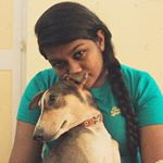 Profile Picture of Nandini Iyer (@nandini.iyerr) on Instagram