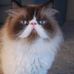 Profile Picture of Lillian McCarty Payne (Lillian McCarty Payne) (@lillian.m.payne) on Facebook