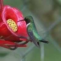 Profile Picture of Marjorie Thomas Alexander (@marjorie-thomas-alexander) on Quora