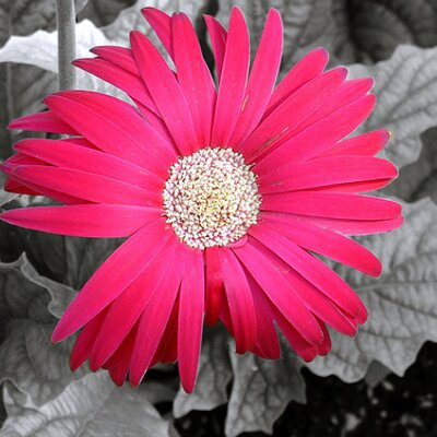 Profile Picture of Mary Frances Yates (@rocky7243) on Twitter