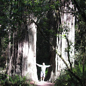 Profile Picture of Travis Johnson (@travisjohnson9327) on Youtube