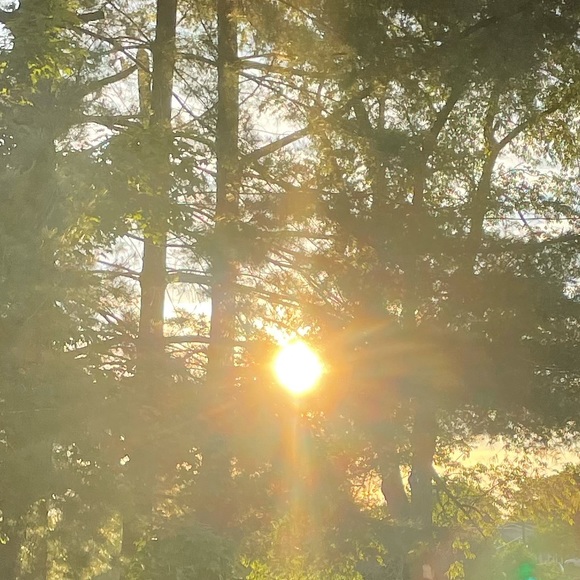 Profile Picture of Isabelle Kennedy (@just_izzy01) on Poshmark