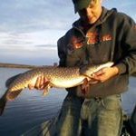 Joel Hazen - Instagram Profile Picture of Joel Hazen (@hazenjoel) on Instagram