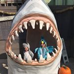 Profile Picture of sue hargis (@hargis_sue) on Instagram