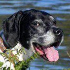 Profile Picture of David Cottam (@eithinog_t11_evl) on Instagram