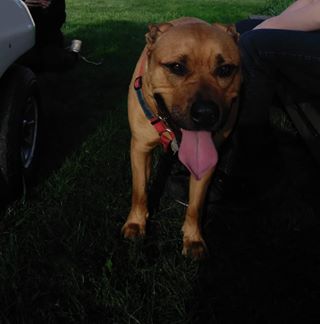 Profile Picture of Daniel Maxson (@daniel.maxson.33) on Facebook