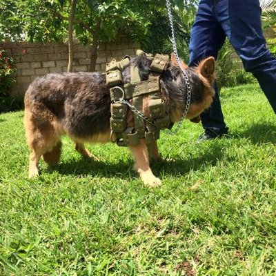 Profile Picture of John Drexel Moono (@DrexelMoono) on Twitter