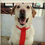 Profile Picture of Jake Pineda (@jake_come_galletas) on Instagram