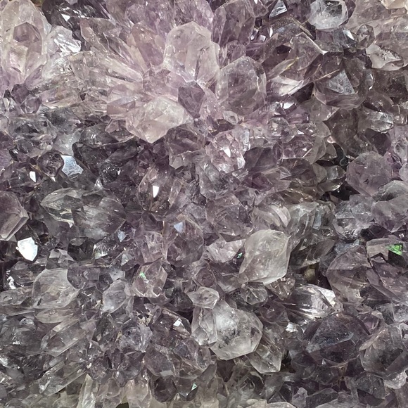 Profile Picture of Yun Li (@fashionphile20) on Poshmark