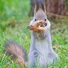 Profile Picture of kevin charlson (@evilmasterlink) on Pinterest