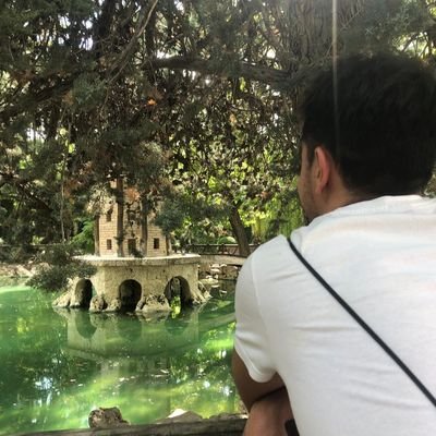 Profile Picture of Pablo Aliaga (@pabloaliaga_) on Twitter