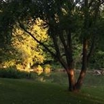 Profile Picture of Paula McGrew (@pvlm1) on Instagram