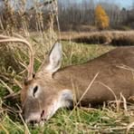 Profile Picture of Keith Fox (@keith.fox.180268) on Facebook