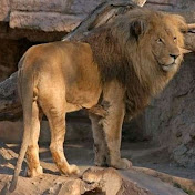 Profile Picture of Jonathan Alvis (@jonathanalvis7861) on Youtube