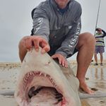 Profile Picture of Albert (@safishguy1975) on Instagram