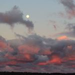 Profile Picture of Marlene Allen Ryerson (@marleneryerson) on Instagram