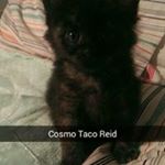 Profile Picture of Betsy Reid (@boomama227) on Instagram