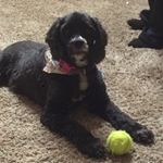Profile Picture of Renee Lemons (@reneelemons42) on Instagram