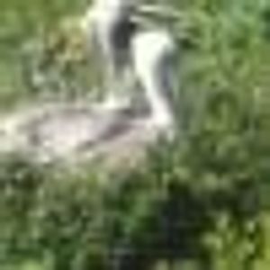 Profile Picture of Lilia Torres (@171973715) on Myspace