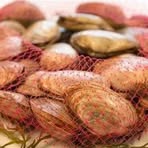 Profile Picture of John Checchi (@John-Checchi) on Facebook