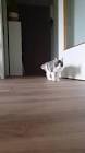 Profile Picture of   Cindy Schipper... (@cindyschipper6) on Tiktok