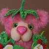 Profile Picture of Dee Casey (@Bears & Blooms by Denise Casey) on Flickr