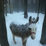 Profile Picture of Terry Englert (@terry.englert.395) on Facebook