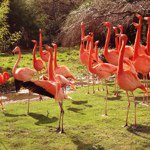 Profile Picture of Hélène Koetschet (@lnkoe) on Instagram