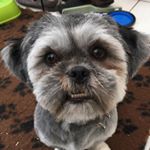 Profile Picture of Bella G (@george.gibson.524) on Instagram