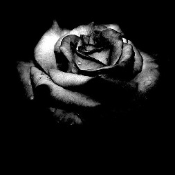 Profile Picture of Mary Kempski (@mary.kempski.1) on Facebook