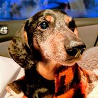 Profile Picture of Shelly Doyle (@shelly-doyle-4) on Quora